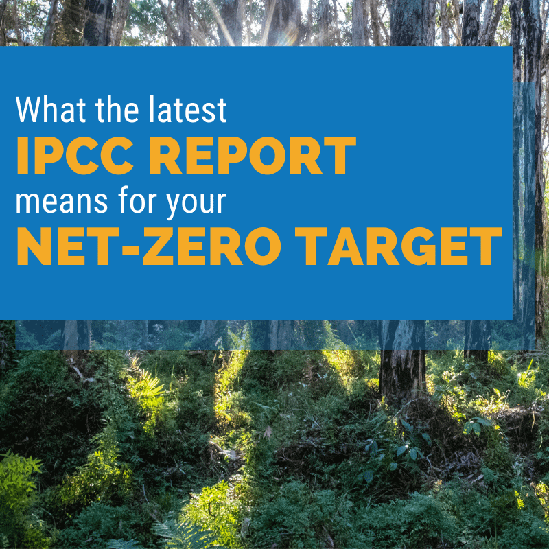 What the latest IPCC report means for your net-zero target [with video]