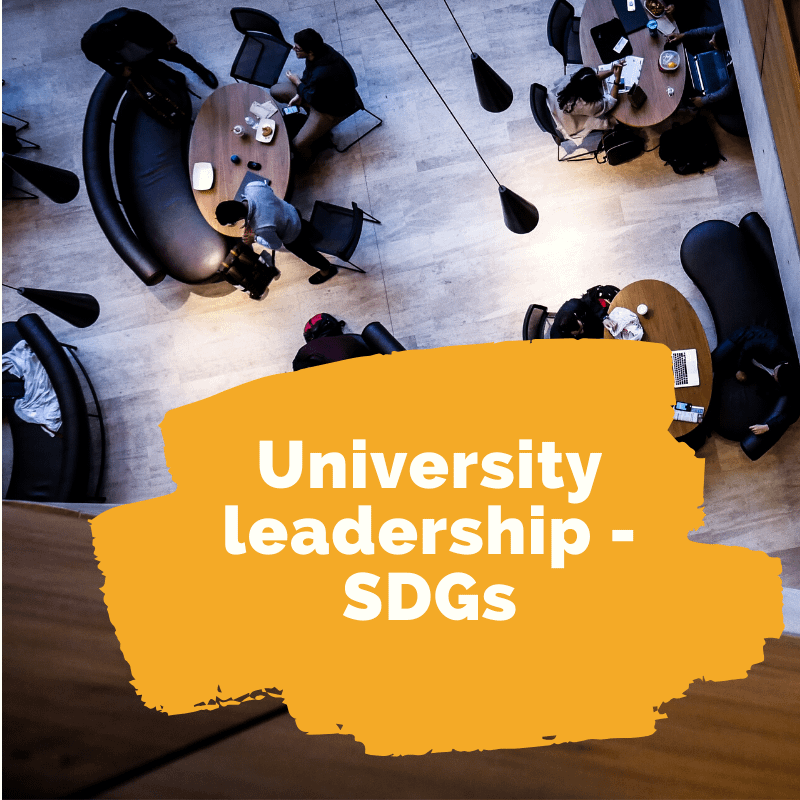 Part 3: University leadership – SDGs